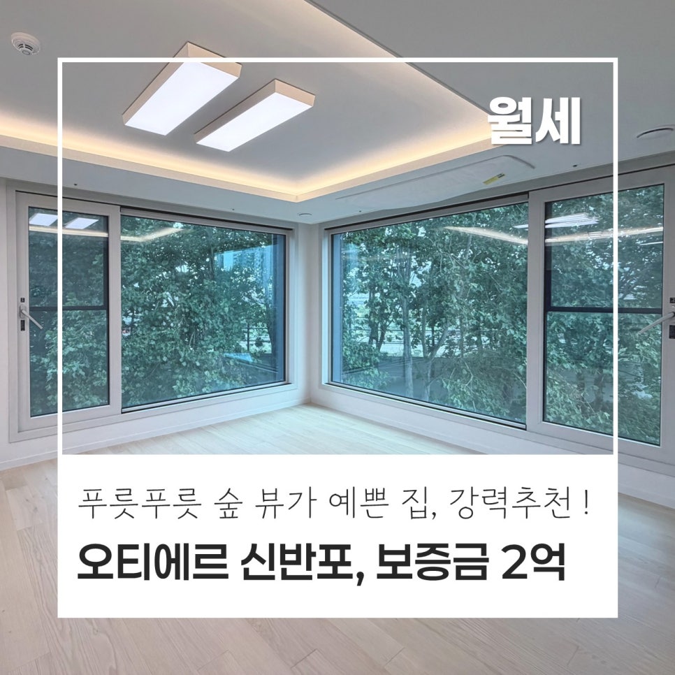 [요즘 인기! 숲뷰] 오티에르 신반포 20평 월세｜소액보증금 가능한 푸릇푸릇 숲뷰, 풀옵션 하우스 현장 사진 1