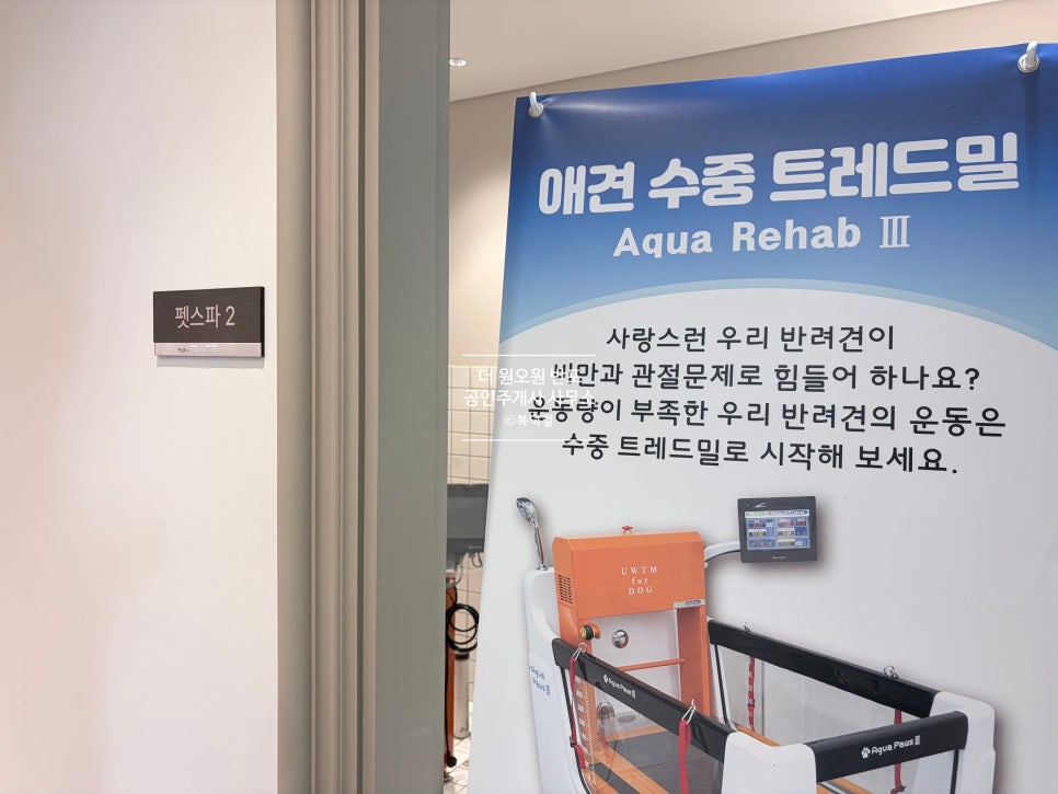 [총정리본!] 9월 1일 입주 시작! 디에이치 방배 B구역 커뮤니티 총정리 · 수영장부터 스카이라운지까지! · 실사진 첨부 현장 사진 39